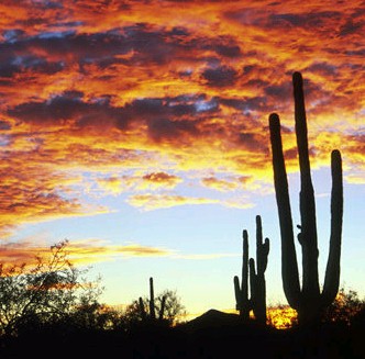 Town of Cave Creek