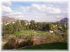Arizona Biltmore #15 - Phoenix Golf Courses